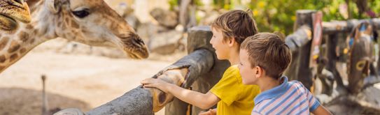 CareynPlus-Voordeel-Acties-Dierentuin-header