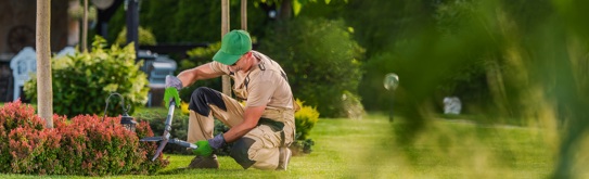 CareynPlus-Hulp in en buiten het huis-Tuinonderhoud-header