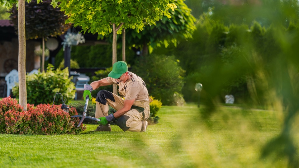 Helpblok afbeelding CareynPlus-Hulp in en buiten het huis-Tuinonderhoud-header
