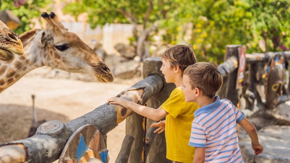 Helpblok afbeelding CareynPlus-Voordeel-Acties-Dierentuin-header
