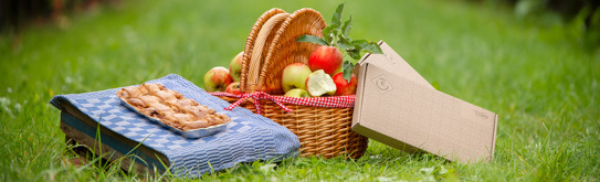 CareynPlus-Voordeel-Acties-Oma's brievenbustaart-header